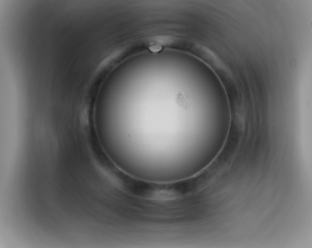 X0000114150543200910081335