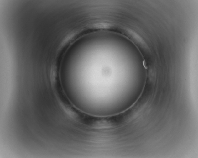 X0000114150544200910081335