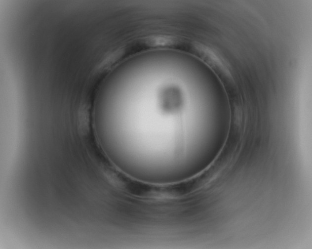 X0000114150545200910081335