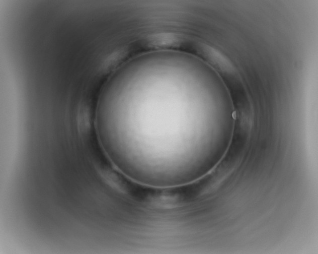 X0000114150546200910081335