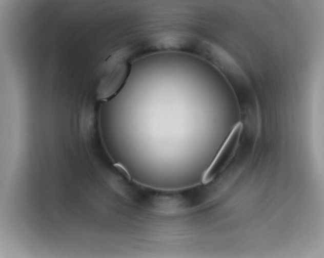 X0000114150548200910081335