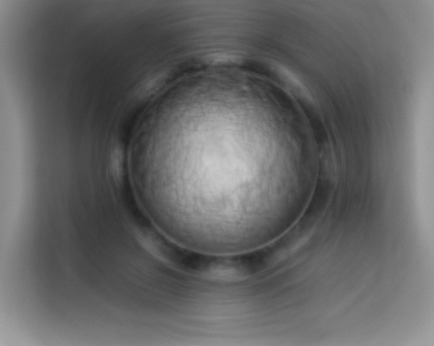 X0000114150550200910081335