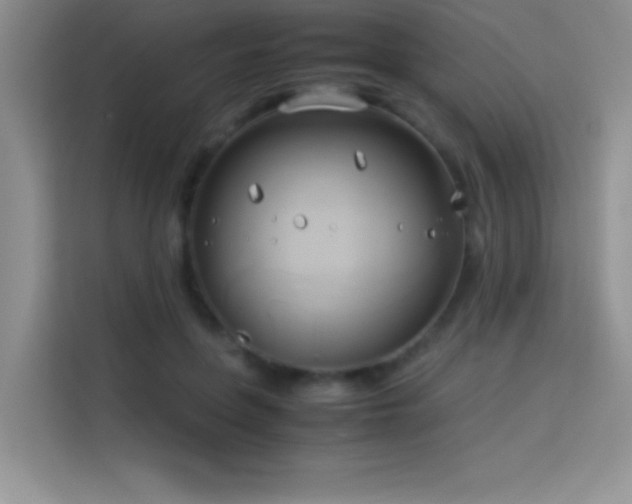X0000114150551200910081335