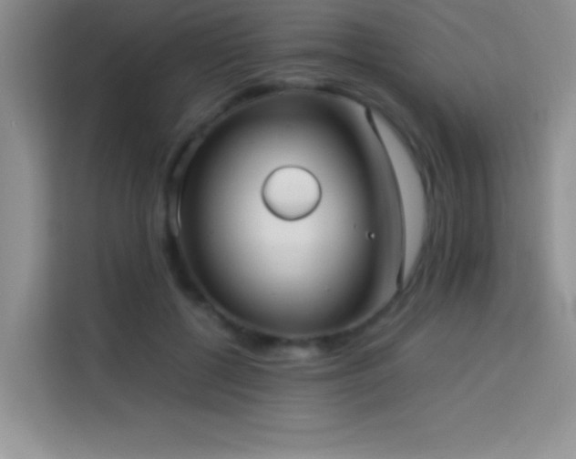 X0000114150552200910081335