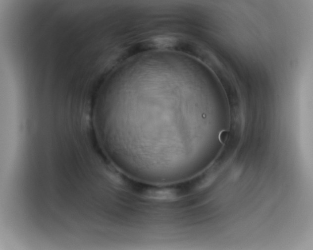 X0000114150553200910081335