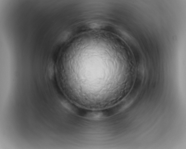 X0000114150554200910081335