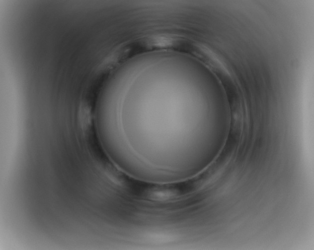 X0000114150555200910081335