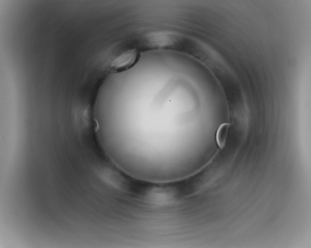 X0000114150556200910081335