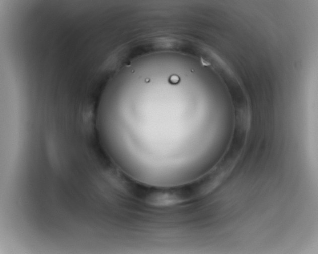 X0000114150557200910081335