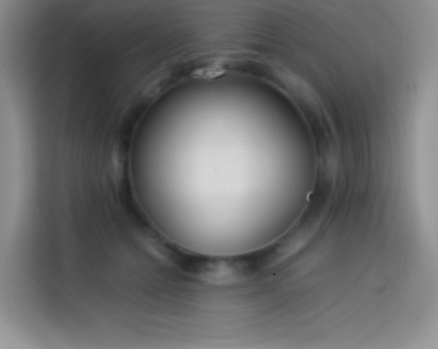 X0000114150558200910081335
