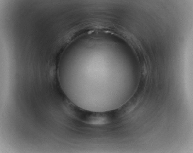 X0000114150559200910081335