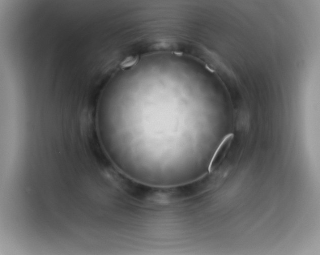 X0000114150560200910081335