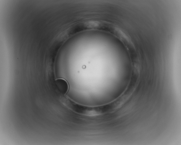 X0000114150561200910081335