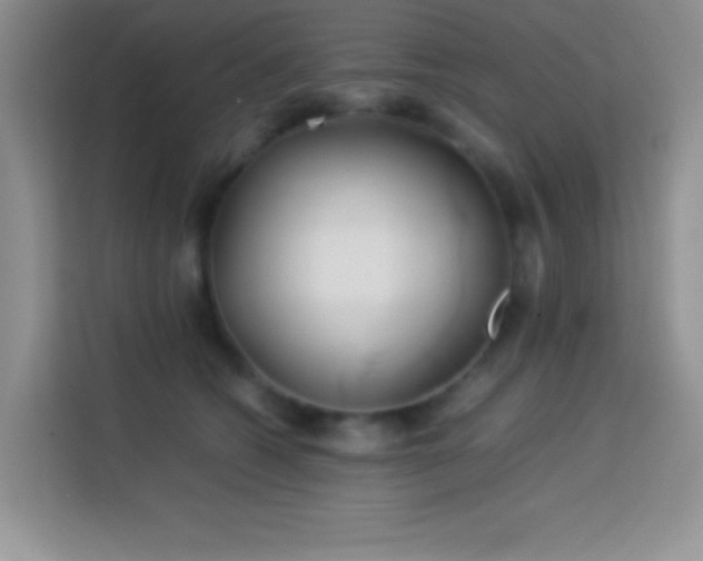 X0000114150562200910081335