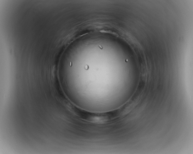 X0000114150563200910081335