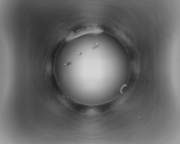 X0000114150564200910081335