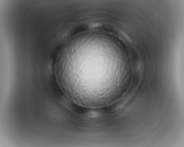 X0000114150565200910081335