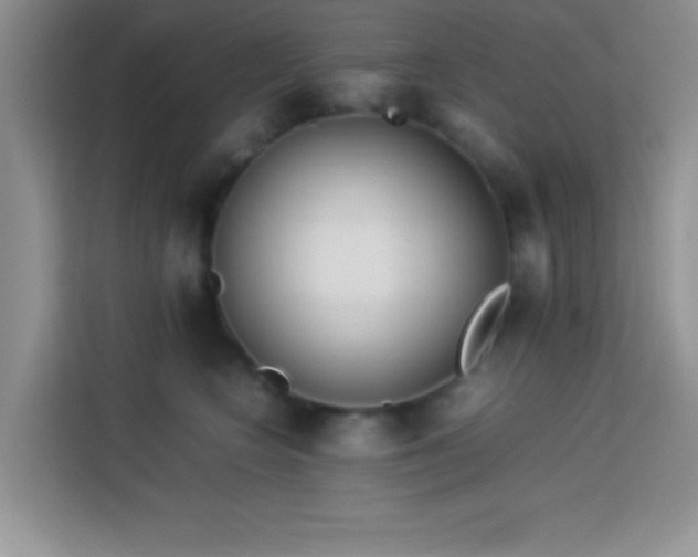 X0000114150566200910081335