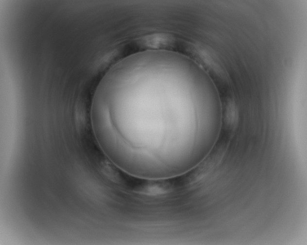 X0000114150569200910081335