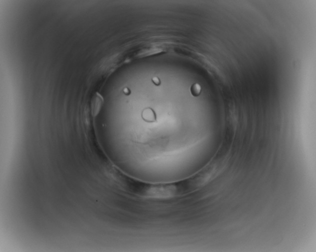 X0000114150571200910081335