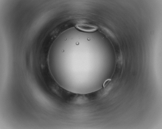 X0000114150572200910081335