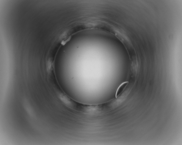 X0000114150574200910081335