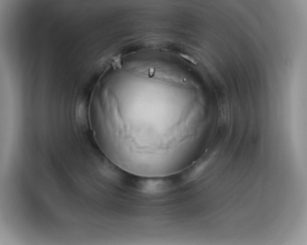 X0000114150575200910081335