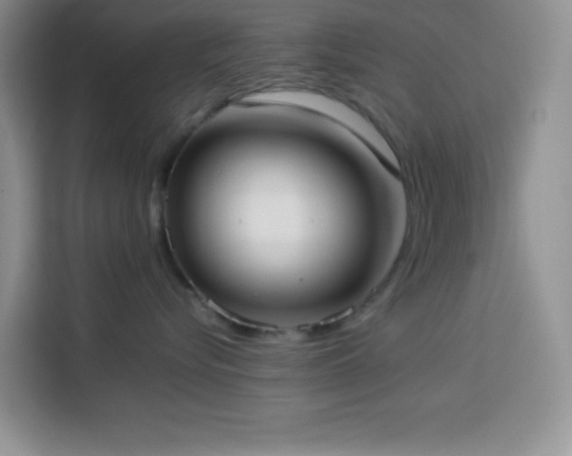 X0000114150576200910081335