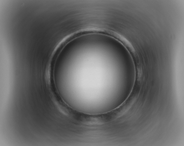 X0000114150580200910081335