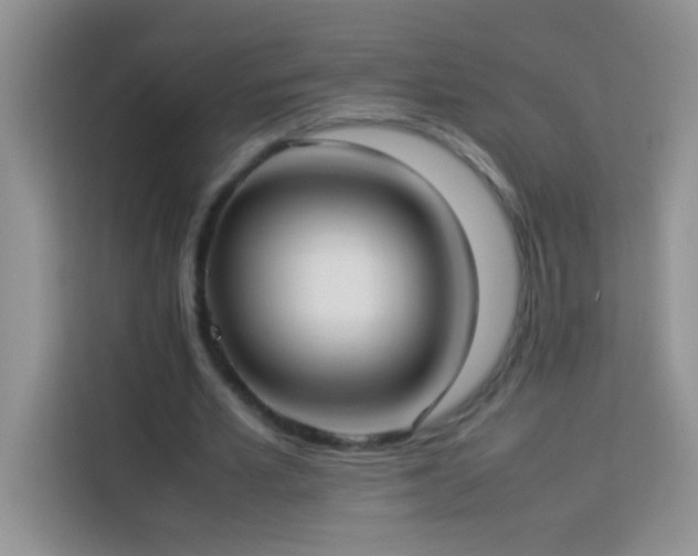 X0000114150581200910081335