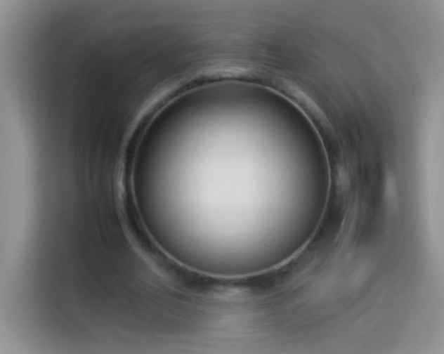 X0000114150582200910081335
