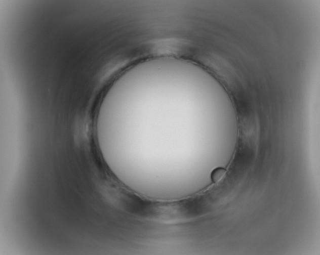 X0000114150583200910081334