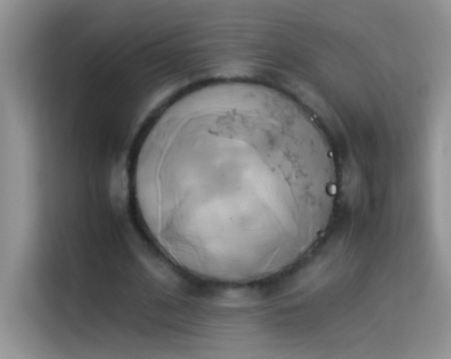 X0000114150584200910081334