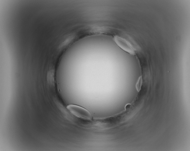 X0000114150585200910081334