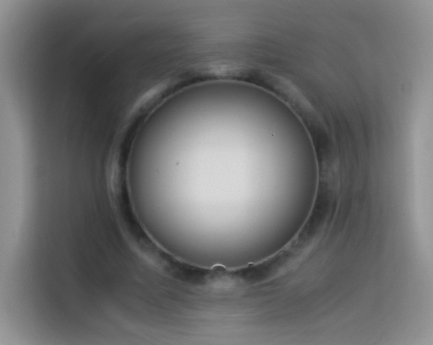 X0000114150587200910081334