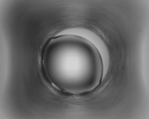 X0000114150589200910081334