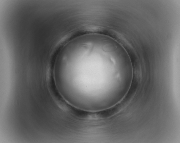 X0000114150591200910081334