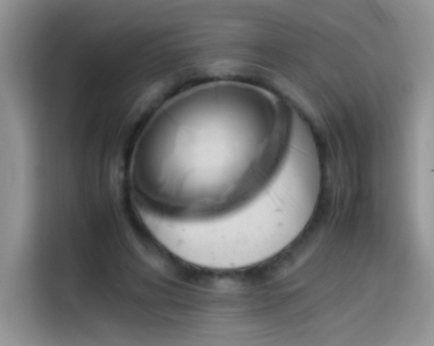 X0000114150592200910081334