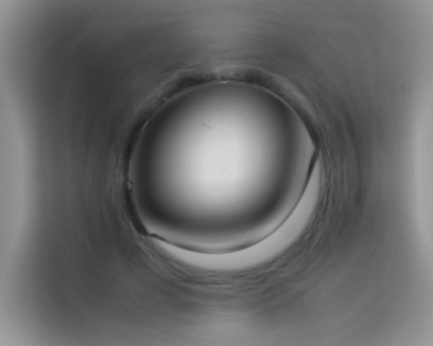X0000114150593200910081334
