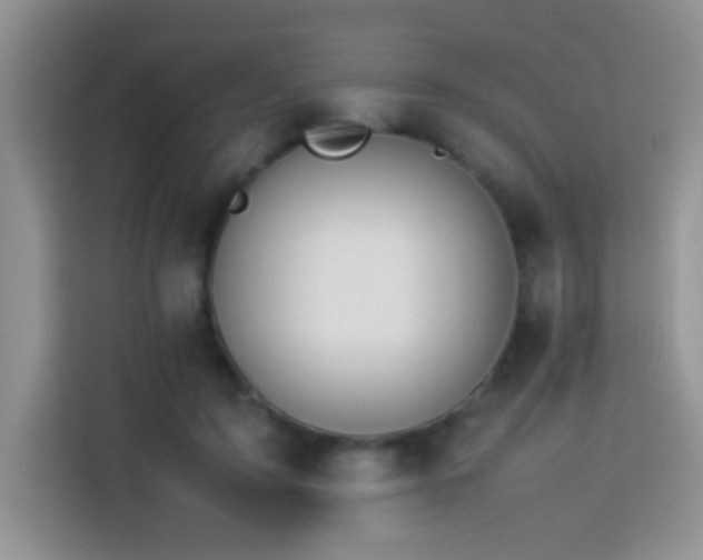 X0000114150595200910081334