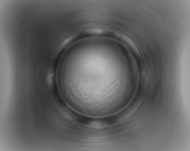 X0000114150596200910081334