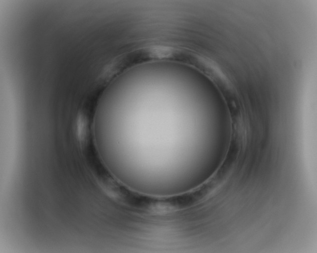 X0000114150598200910081334