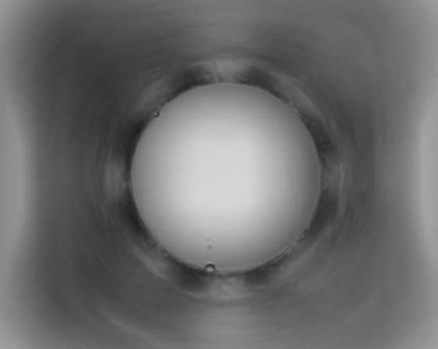 X0000114150599200910081334