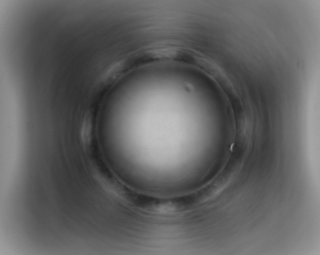 X0000114150600200910081334