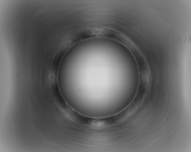 X0000114150602200910081334
