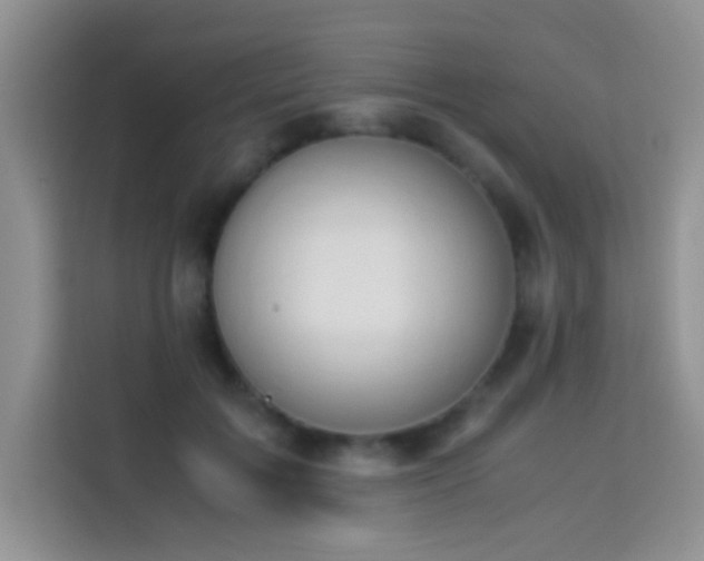 X0000114150603200910081334