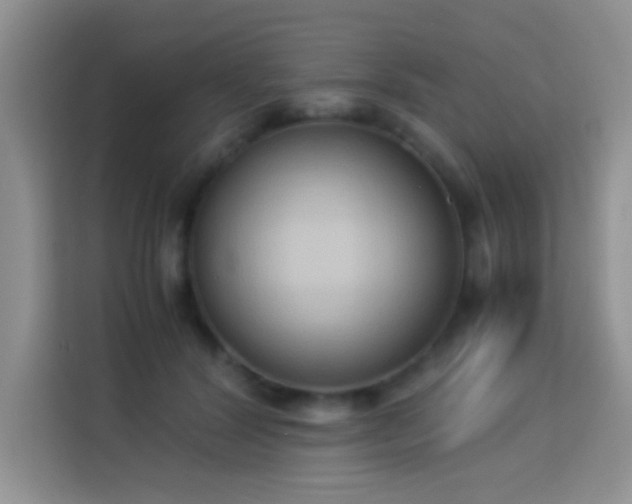 X0000114150604200910081334