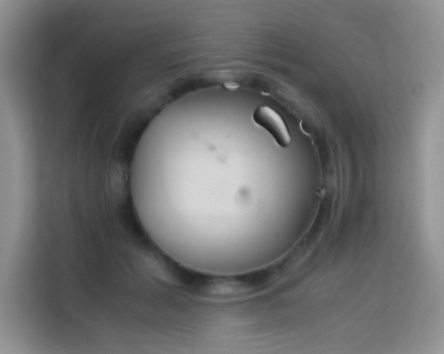 X0000114150605200910081334