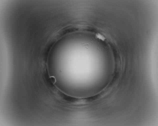 X0000114150609200910081334
