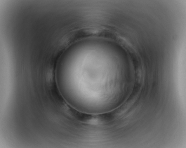 X0000114150612200910081334